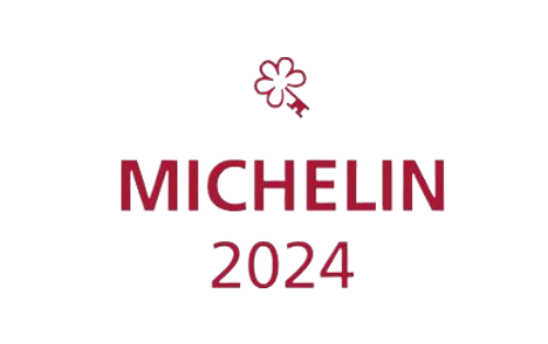 michelin logo footer